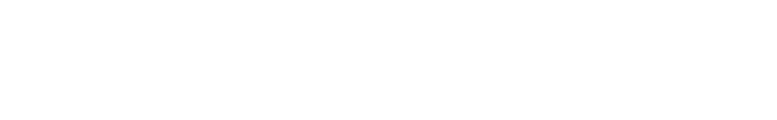 LI KA SHING FACULTY OF MEDICINE - THE UNIVERSITY OF HONG KONG